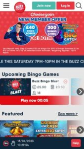 Buzz Bingo casino website