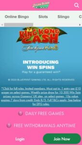 Double Bubble Bingo casino website