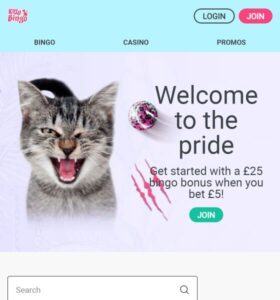 Kitty Bingo casino website