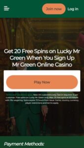 Mr Green casino website