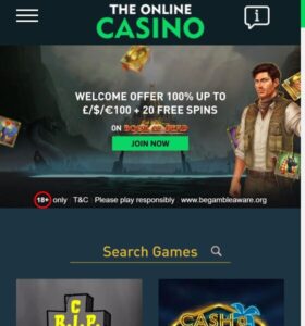 TheOnlineCasino casino website