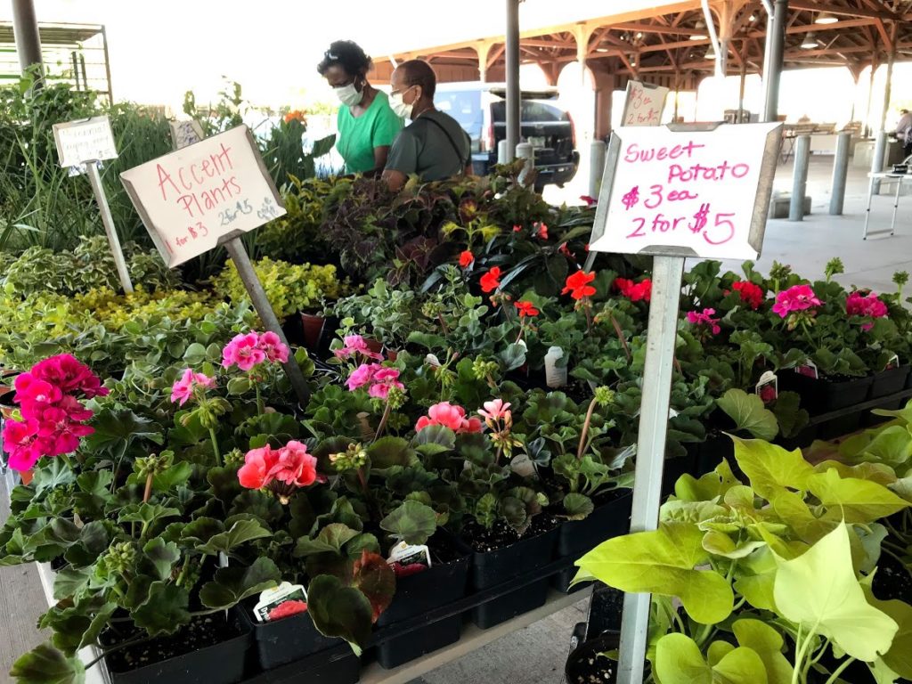 flowers sold in eastern market detroit