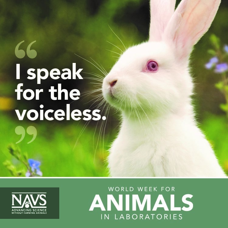 National Anti-Vivisection Society Is Fighting To End Animal Experimentation  