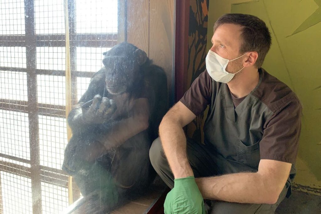 Chimpanzee Sanctuary Northwest Gives Hope