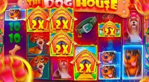 The Dog House Megaways max win video 2