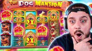 The Dog House Megaways max win video 0