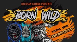 Born Wild max win video 1