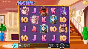 Pug Life demo play free