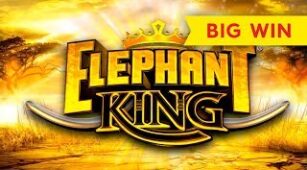Elephant King max win video 0