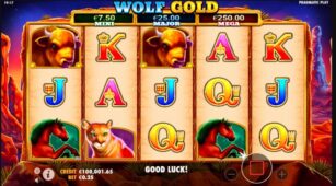 Wolf Gold demo play free 2