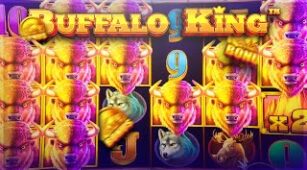 Buffalo King (Pragmatic Play) max win video 0