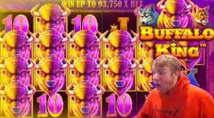 Buffalo King (Pragmatic Play) max win video 1