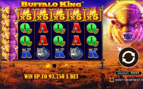 Buffalo King (Pragmatic Play)