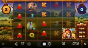 Serengeti Kings demo play free 1