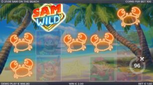 Sam On The Beach demo play free 2