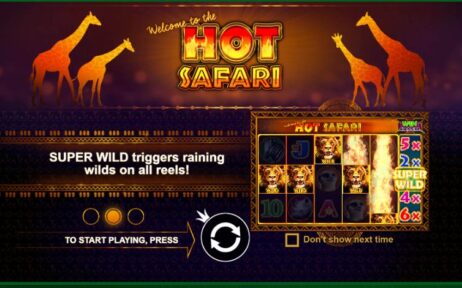 Hot Safari