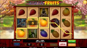 Ninja Fruits demo play free 0