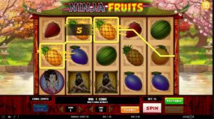 Ninja Fruits demo play free 1