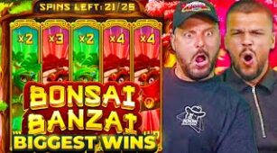 Bonsai Banzai max win video 0