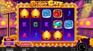 Pushy Cats demo play free 0