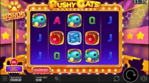 Pushy Cats demo play free 2