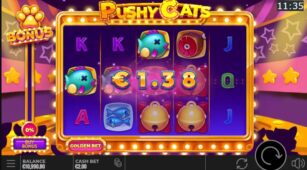 Pushy Cats demo play free 3