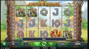 Wild Turkey demo play free 3