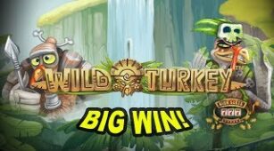 Wild Turkey max win video 0