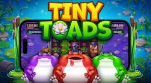 Tiny Toads max win video 0