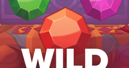 Wild Bazaar