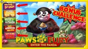 Paws Of Fury max win video 0