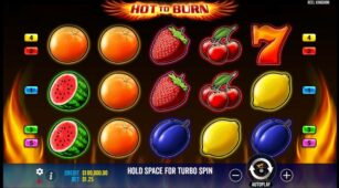 Hot To Burn demo play free