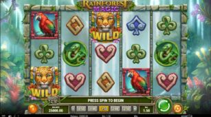 Rainforest Magic demo play free