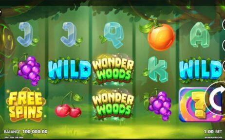 Wonder Woods