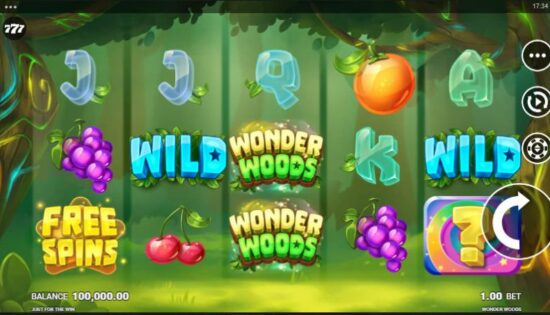 Wonder Woods