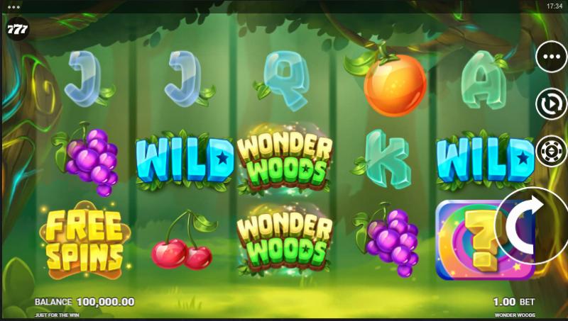 Wonder Woods slot