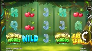 Wonder Woods demo play free 2