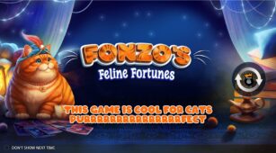 Fonzo’s Feline Fortunes demo play free