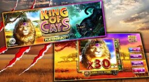 King Of Cats max win video 0