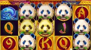 Pandas Fortune 2 max win video 0
