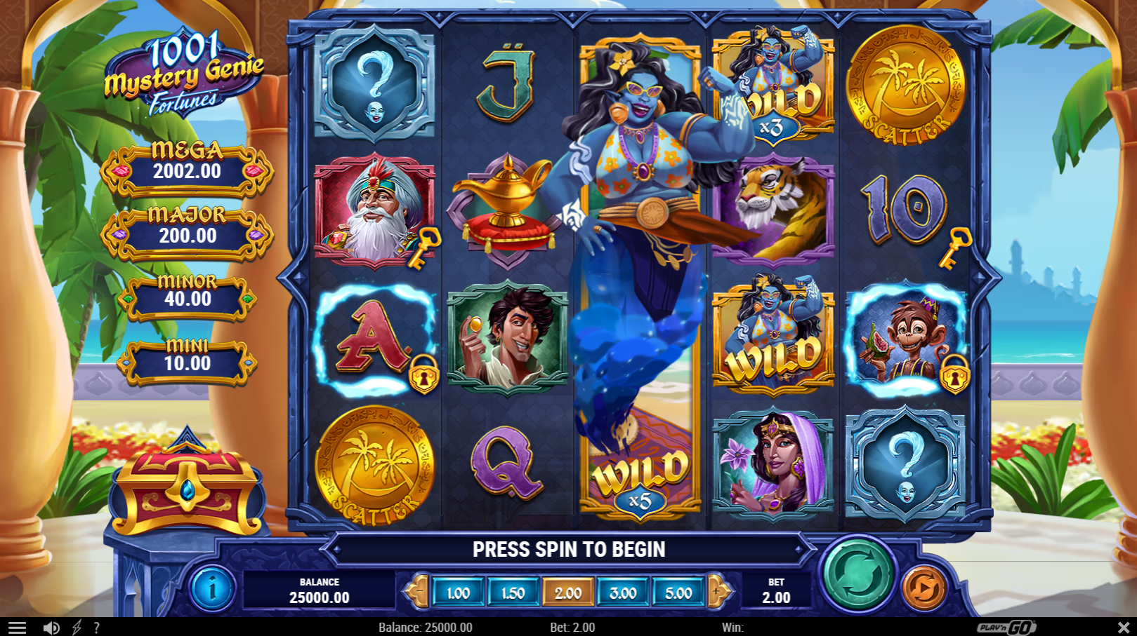 1001 Mystery Genie Fortunes