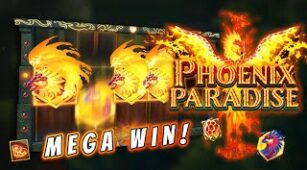 Phoenix Paradise max win video 0