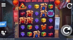Sumo Sumo demo play free