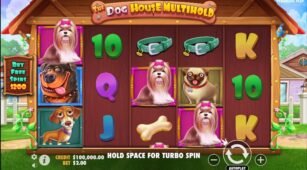 The Dog House Multihold demo play free