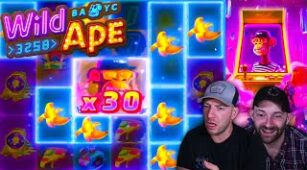 Pinata Wins max win video 0