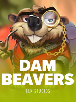 Dam Beavers