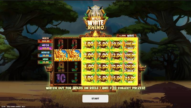 Wild White Rhino