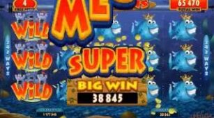 Fish Party max win video 2