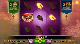 Feng Shui Kitties demo play free 2