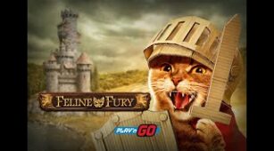 Feline Fury max win video 0